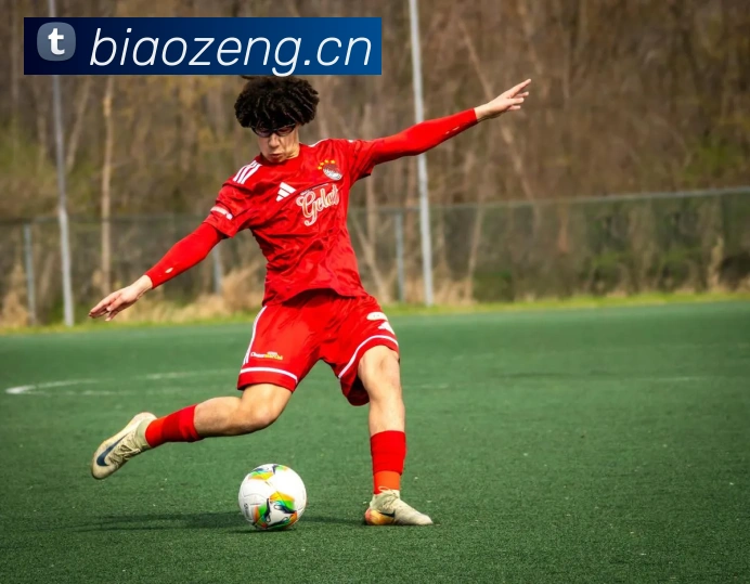 巅峰国标pg官网入口服务体系